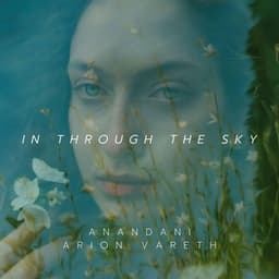 In Through The Sky - Anandani