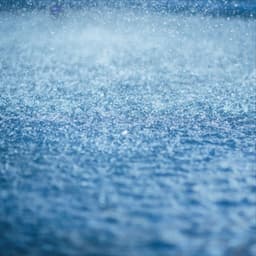 Ultimate Relaxation and Serenity - Relaxed Minds