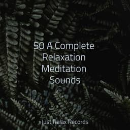 50 A Complete Relaxation Meditation Sounds - Dormir