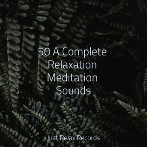 50 A Complete Relaxation Meditation Sounds - Dormir