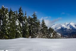 Rainy Day Feels / Chakra Cleansing, Relaxing - Pro Sounds of Nature