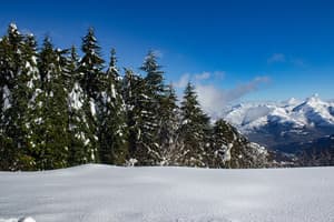 Rainy Day Feels / Chakra Cleansing, Relaxing - Pro Sounds of Nature