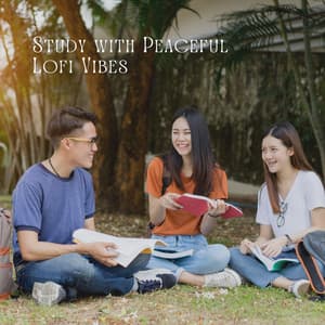Study with Peaceful Lofi Vibes - lofi stu