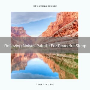 Relieving Noises Palette For Peaceful Sleep - Baby Sleep Aid