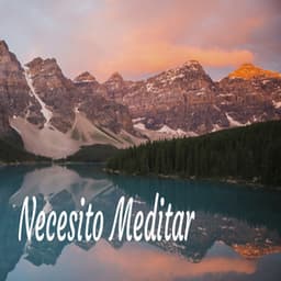 Necesito Meditar - Meditar Profundamente