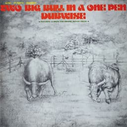 Two Big Bull in a One Pen - King Tubby