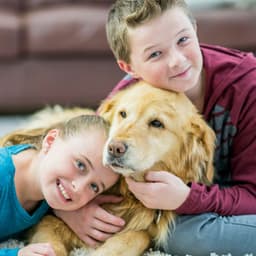 Serene Rainy Piano: Dog Comfort Rainfall - Coffee Shop Piano