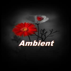 Ambient - Jonathan Beats