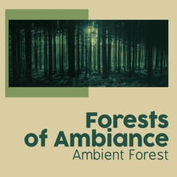 Forests of Ambiance - Ambient Forest