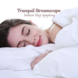Tranquil Streamscape: Ambient Sleep Symphony - The Water Sleepers