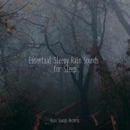 Essential Sleepy Rain Sounds for Sleep - Ocean Sounds