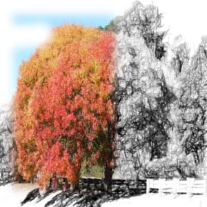 White Noise Spa Collection - 50 Shades of Ambience - Bedtime for Baby