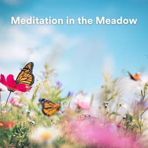 Meditation in the Meadow - Ambient Music Collective