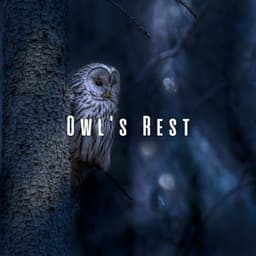 Owl's Rest: Nighttime Harmonies for Peaceful Sleep - Owl Sounds Recordings