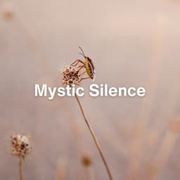 Mystic Silence - Relaxing Radiance