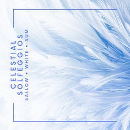 Celestial Solfeggios: Angelic Meditation - Isabel Sallow