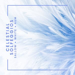 Celestial Solfeggios: Angelic Meditation - Isabel Sallow