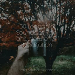 50 Loopable Sounds of Rain and Nature for Meditation - Nature Sound Collection