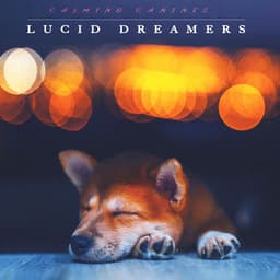 Lucid Dreamers - Calming Canines
