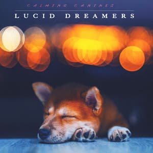 Lucid Dreamers - Calming Canines