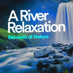A River Relaxation - Elements of Nature