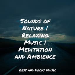 Sounds of Nature | Relaxing Music | Meditation and Ambience - Children's Music
