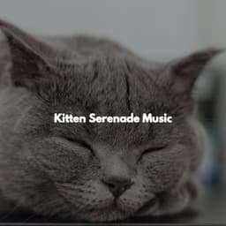 Kitten Serenade Music - Chilled Jazz Party