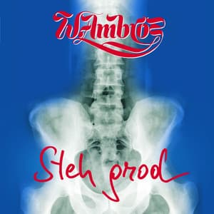 Steh grod - Wolfgang Ambros