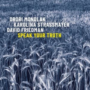 Speak Your Truth - Drori Mondlak