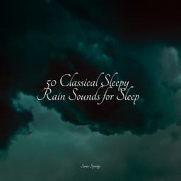 50 Zen Meditation Rain Sounds from Nature - Rainforest