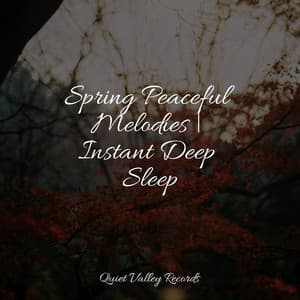 Spring Peaceful Melodies | Instant Deep Sleep - Sound of Rain