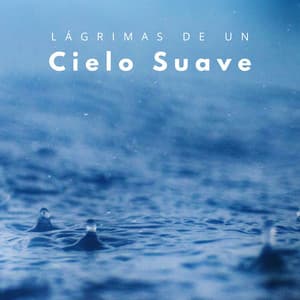 Lágrimas De Un Cielo Suave - Siente El Clima