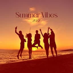 Summer Vibes 2022: Bossa Nova Lounge Medley, Chill del Mar - Bossa Nova Vibes Lounge