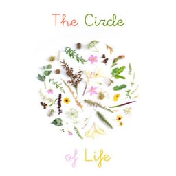 The Circle of Life - Meditation and Relaxation