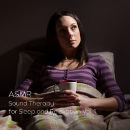 ASMR: Sound Therapy for Sleep and Relaxation Vol. 1 - Sleep Repeat