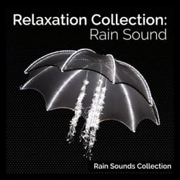 Relaxation Collection: Rain Sound - Rain Sounds Collection