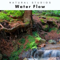 2022 Water Flow - Natural Woodland Sounds