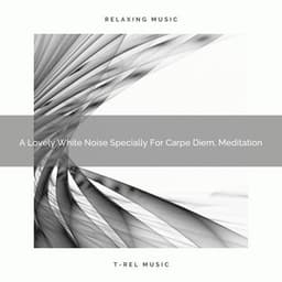 A Lovely White Noise Specially For Carpe Diem, Meditation - Soothing Noise & Sleepful Sounds
