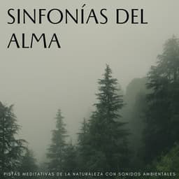 Sinfonías Del Alma: Pistas Meditativas De La Naturaleza Con Sonidos Ambientales - Reiki Consorte de Curación