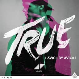True: Avicii By Avicii - Avicii