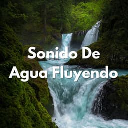 Sonido De Agua Fluyendo - Paisaje sonoro de agua goteando