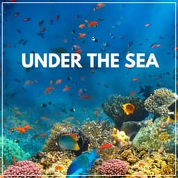 Under the Sea - Nature Of Sweden