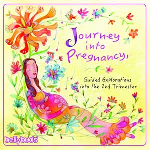 Journey into Pregnancy, Guided Explorations into the 2nd Trimester - Bellybuds