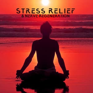 Stress Relief & Nerve Regeneration - Relieving Stress Music Collection