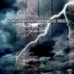 40 Natural Inspiration Rainy Audio Tracks - ASMR HD