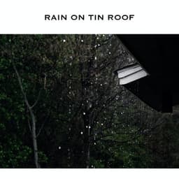 Rain on Tin Roof - Rain Radiance