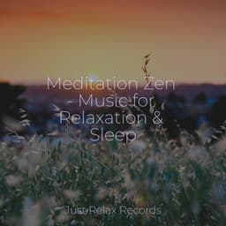 Meditation Zen - Music for Relaxation & Sleep - Sonidos De Lluvia y Tormentas