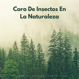 Coro De Insectos En La Naturaleza: Sonidos Relajantes Para Meditar - Zona de Sonidos de la Naturaleza