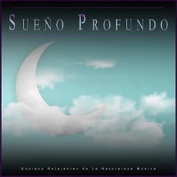 Sueño Profundo: Sonidos Relajantes de La Naturaleza Música - Sueño Profundo Relajante