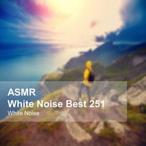 White Noise ASMR Best 251 - White Noise